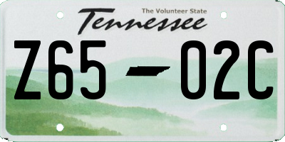 TN license plate Z6502C