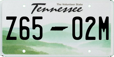 TN license plate Z6502M