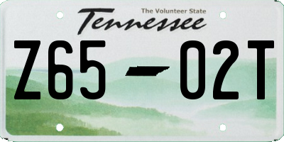 TN license plate Z6502T