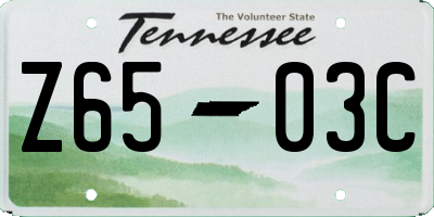 TN license plate Z6503C
