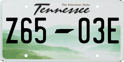 TN license plate Z6503E