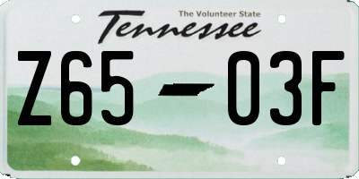 TN license plate Z6503F
