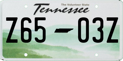 TN license plate Z6503Z