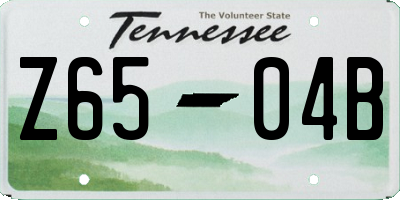 TN license plate Z6504B