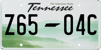 TN license plate Z6504C