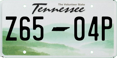 TN license plate Z6504P