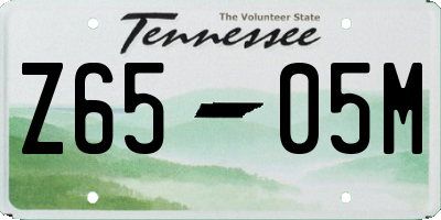 TN license plate Z6505M