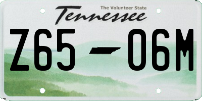 TN license plate Z6506M