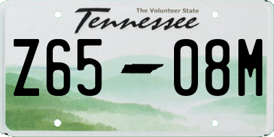 TN license plate Z6508M