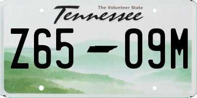 TN license plate Z6509M