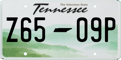 TN license plate Z6509P