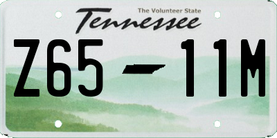 TN license plate Z6511M