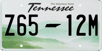 TN license plate Z6512M