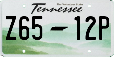 TN license plate Z6512P