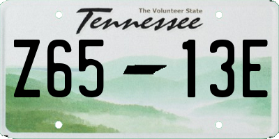 TN license plate Z6513E