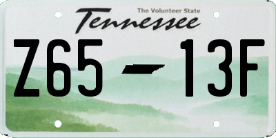 TN license plate Z6513F