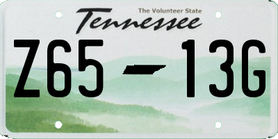 TN license plate Z6513G