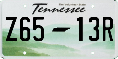 TN license plate Z6513R