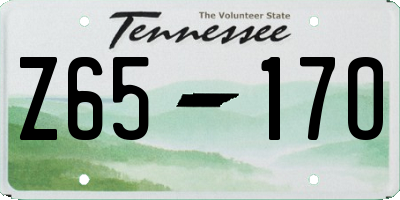 TN license plate Z6517O