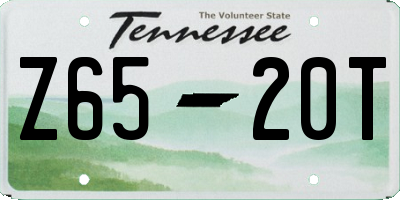 TN license plate Z6520T