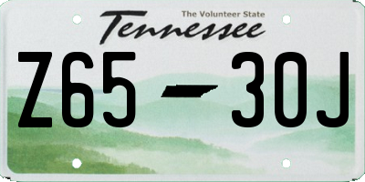 TN license plate Z6530J