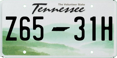 TN license plate Z6531H
