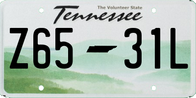 TN license plate Z6531L