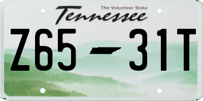 TN license plate Z6531T