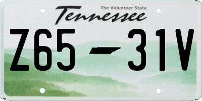 TN license plate Z6531V
