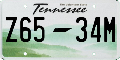 TN license plate Z6534M