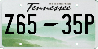 TN license plate Z6535P