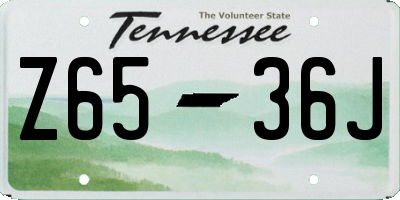 TN license plate Z6536J