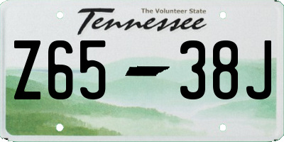 TN license plate Z6538J