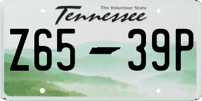 TN license plate Z6539P