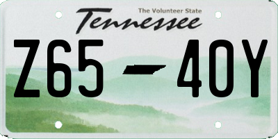 TN license plate Z6540Y
