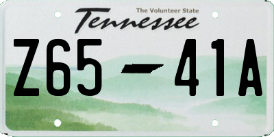 TN license plate Z6541A