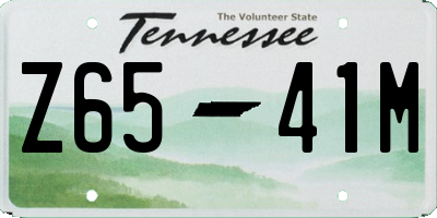 TN license plate Z6541M