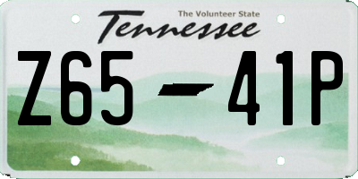 TN license plate Z6541P