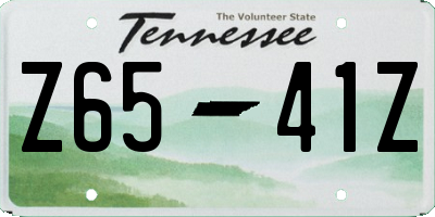 TN license plate Z6541Z