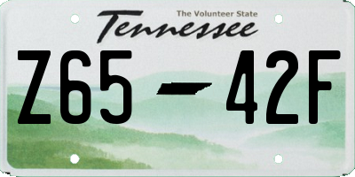 TN license plate Z6542F