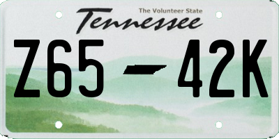 TN license plate Z6542K