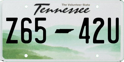 TN license plate Z6542U