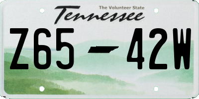 TN license plate Z6542W