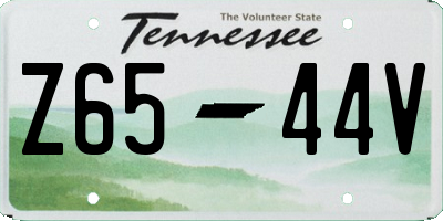 TN license plate Z6544V