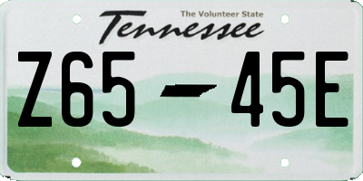 TN license plate Z6545E