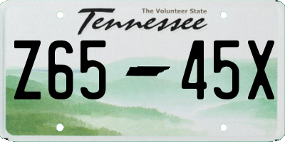 TN license plate Z6545X