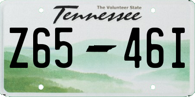 TN license plate Z6546I