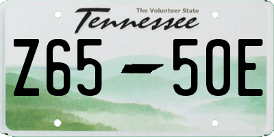 TN license plate Z6550E