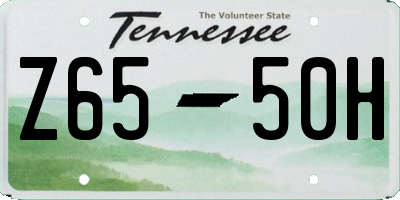 TN license plate Z6550H