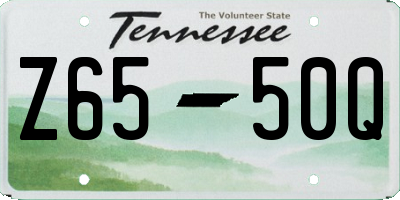 TN license plate Z6550Q